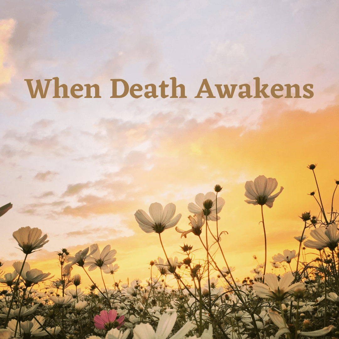 When Death Awakens